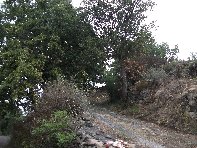 vittello-20100924 001